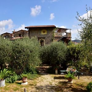 Locanda Dei Boi